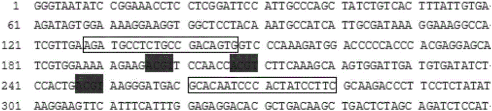 用于测定生物材料中目标序列甲基化率的方法及试剂盒与流程