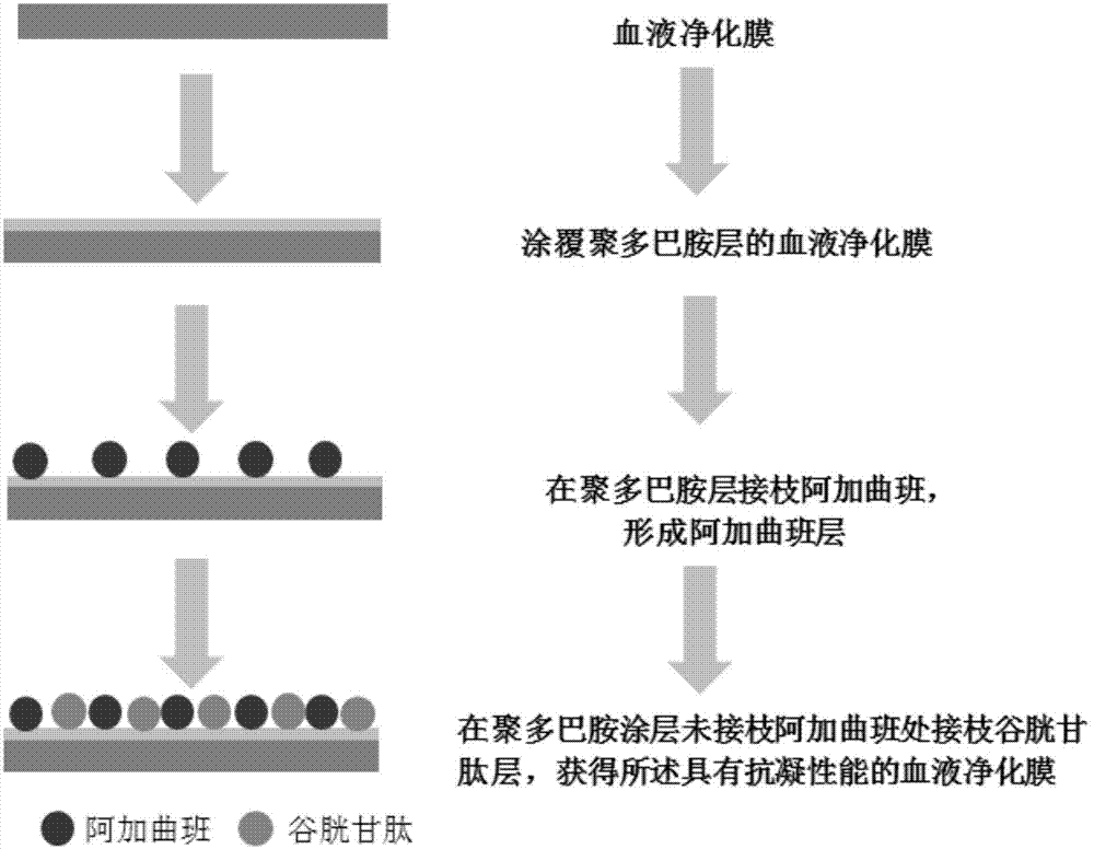 一种具有抗凝性能的血液净化膜及其制备方法与流程