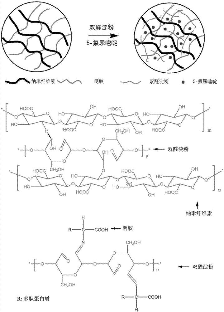 一种纳米纤维素/明胶复合气凝胶及其应用的制作方法