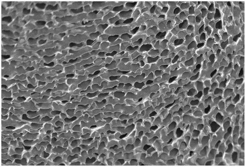 羧甲基壳聚糖植酸多孔复合膜及脱除金属杂质的方法与流程