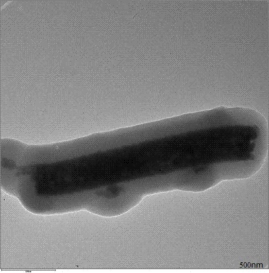 一核双壳结构的氧化镍@钛酸钙@聚乙烯醇催化材料及其制备方法与流程