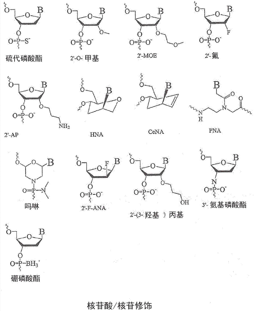 修饰的TGF-β寡核苷酸的制作方法