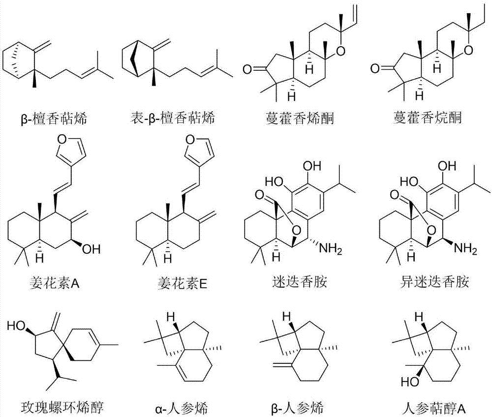 酪氨酸酶抑制剂β-檀香萜烯和表-β-檀香萜烯在面霜、洗面奶或美白乳液中的应用的制作方法