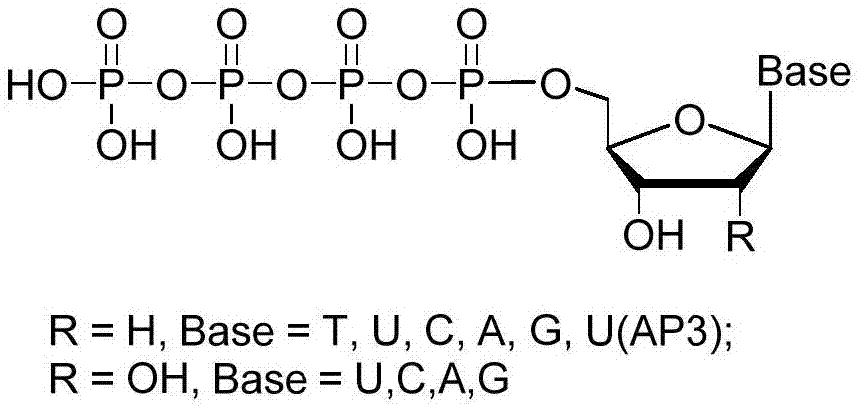 一种核苷四磷酸的合成方法与流程