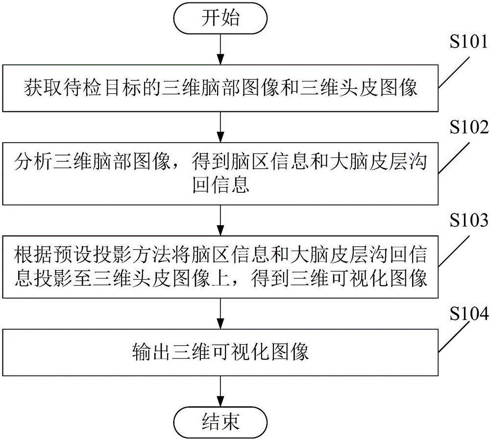 一种用于经颅刺激治疗的脑结构图像显示方法及装置与流程