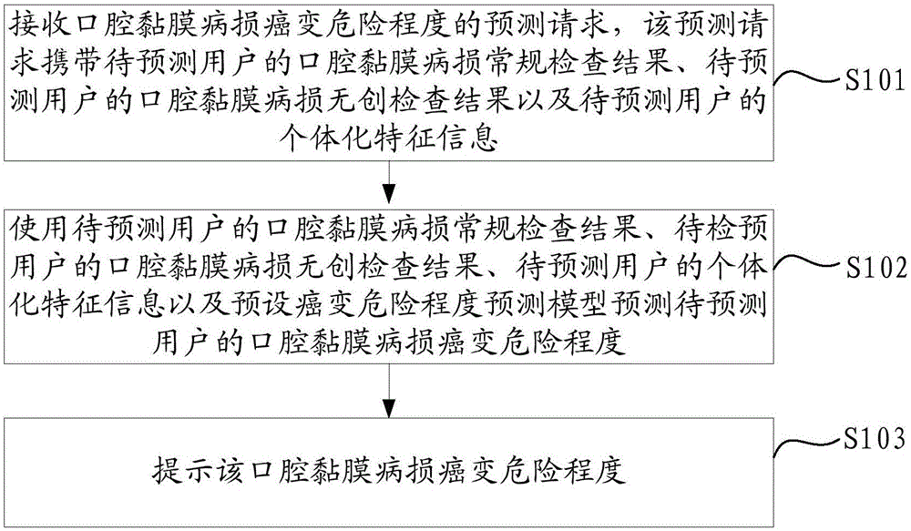 一种口腔黏膜病损癌变危险程度的预测方法及装置与流程