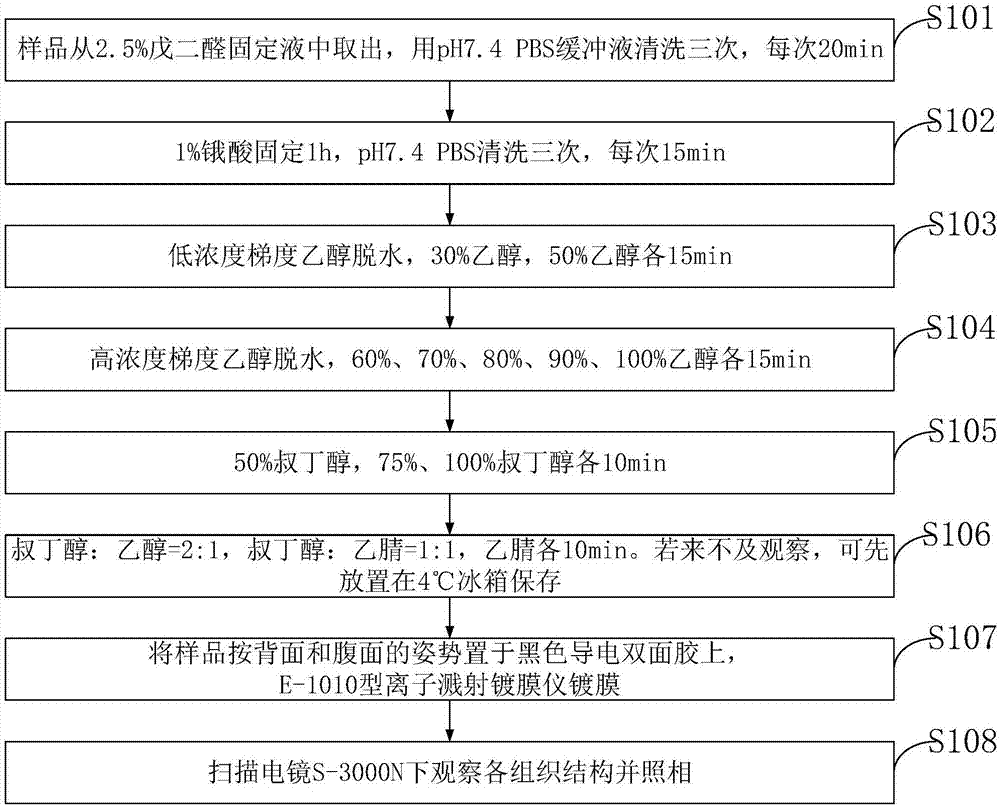 一种用于电镜扫描的样品制备方法与流程