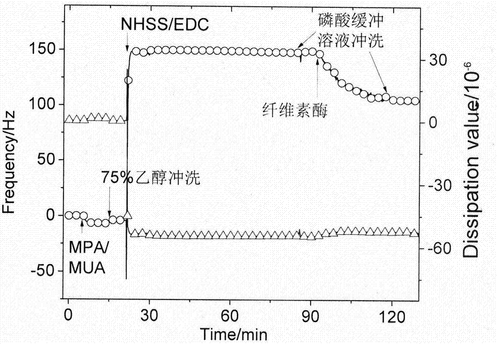 一种用纤维素酶原位修饰金芯片的方法与流程