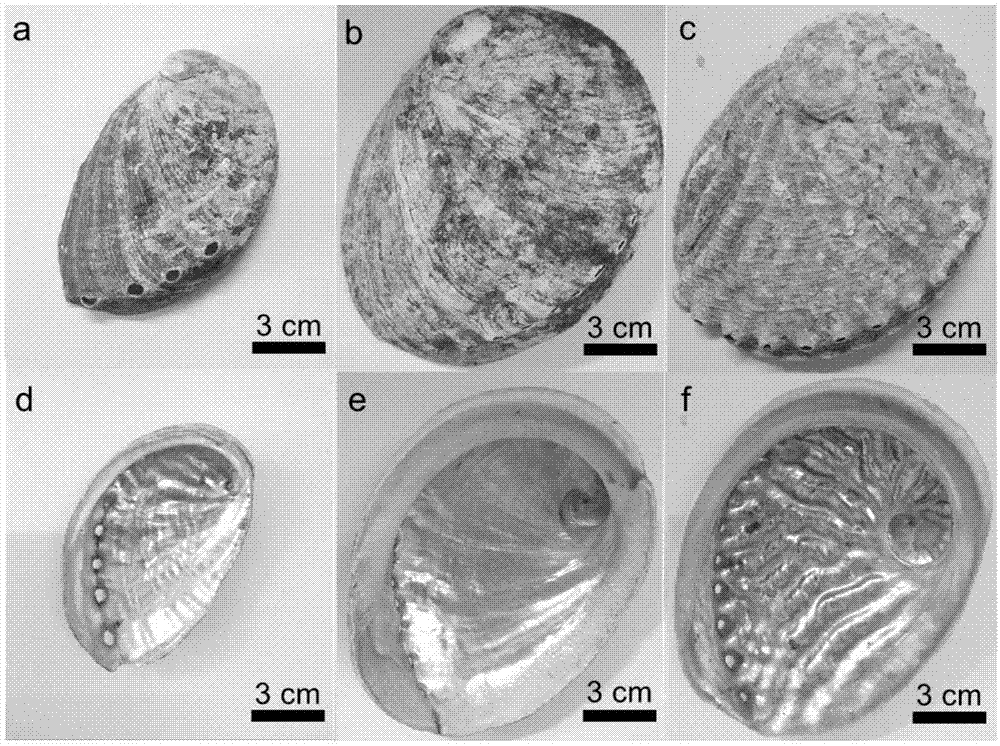 多孔文石结构微米片的制备方法、陶瓷隔膜及其制备方法与流程