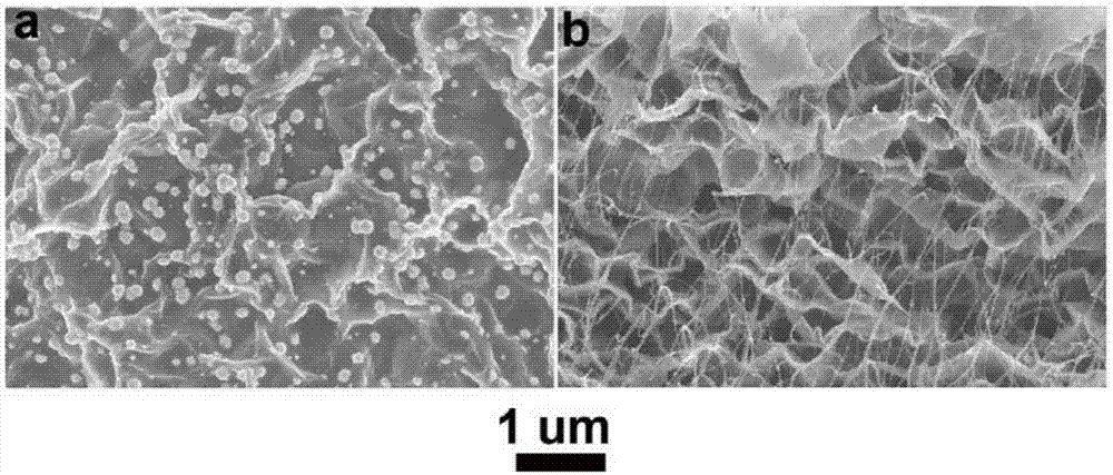 一种多孔石墨烯/碳纳米管柔性自支撑膜材料的制备方法与流程