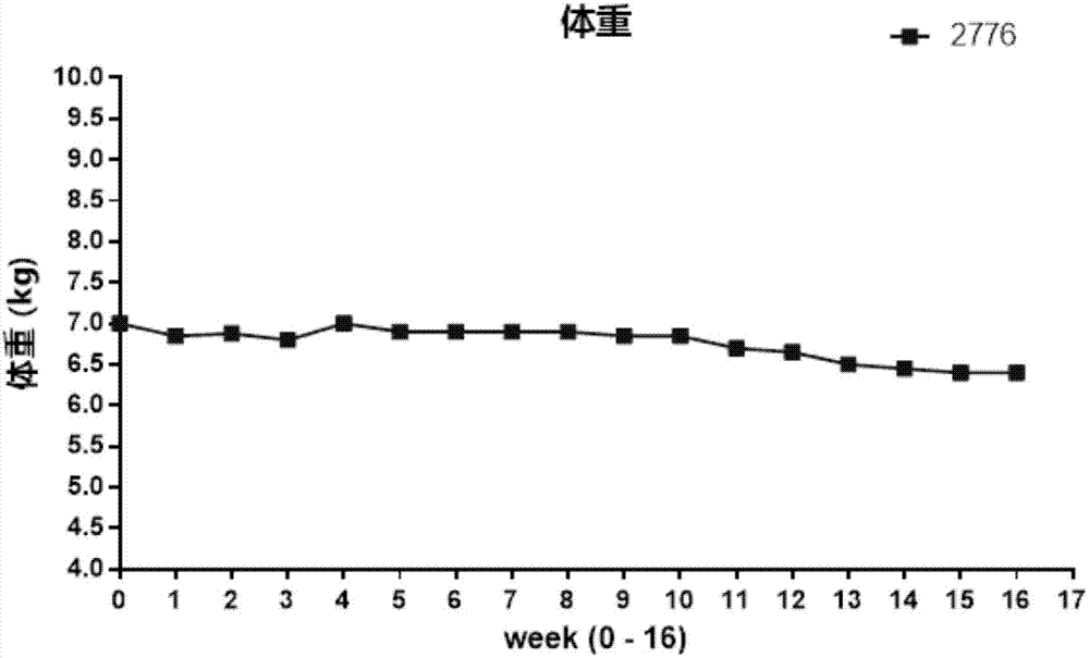 一种食蟹猴双边腓骨截骨术制作的骨缺损模型的构建方法与流程