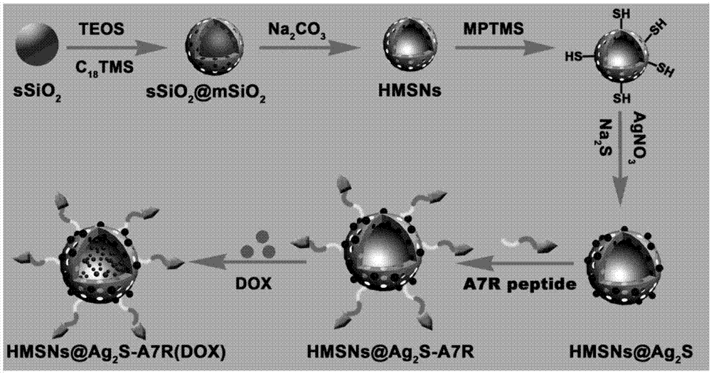 一种A7R肽修饰的硫化银掺杂中空介孔硅靶向纳米诊疗剂及其制备和应用的制作方法