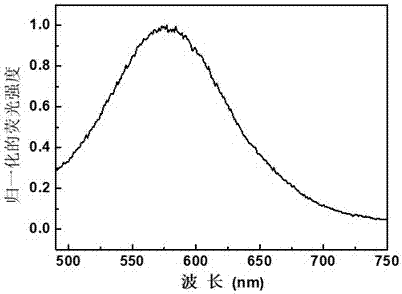 一种用于硒蛋白检测的荧光探针化合物及其制备方法与流程