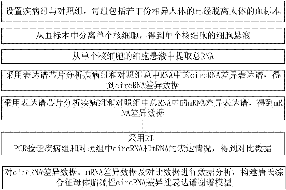 唐氏综合征母体胎源性circRNA差异性表达谱图谱模型及其构建方法和构建系统与流程