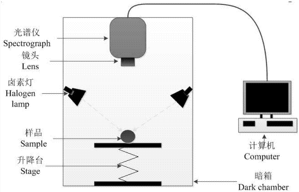 基于MSC-CFS-ICA的苹果轻微损伤高光谱检测方法与流程