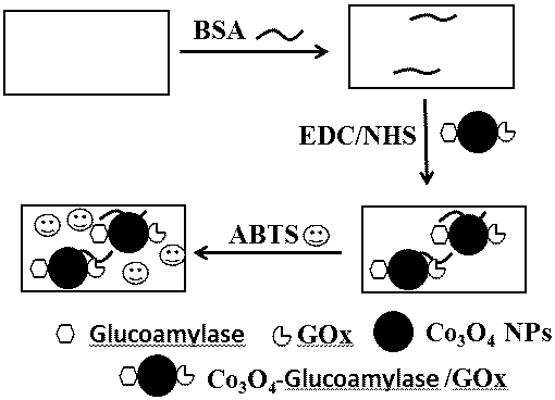 一种淀粉速测卡的制备和应用的制作方法