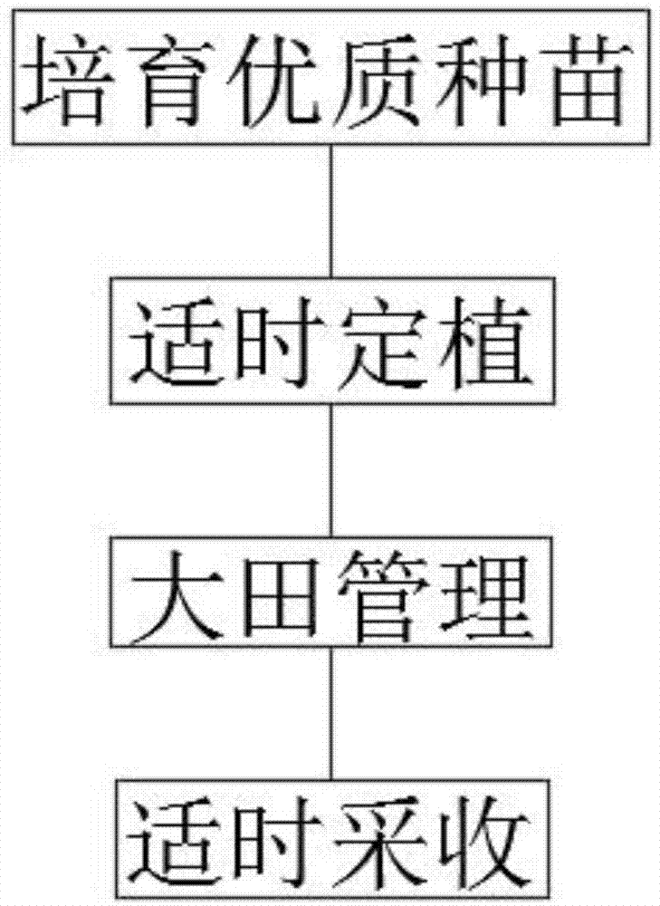 一种西瓜种植方法与流程