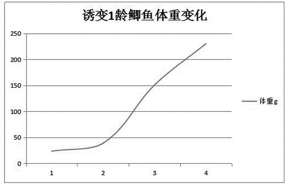 一种鲫鱼的等离子照射育种方法与流程