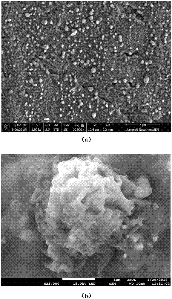 一种在钛基底上制备片状或多孔球状二氧化钛结构的方法与流程