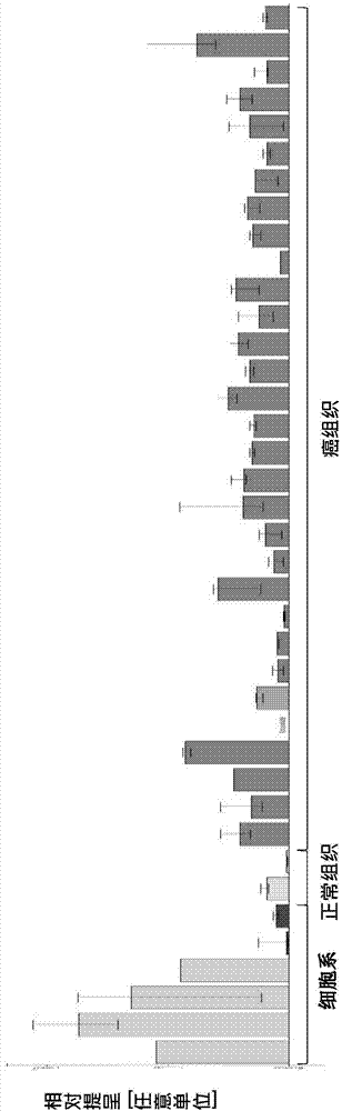 用于各种肿瘤免疫治疗的新型肽和肽组合物的制作方法