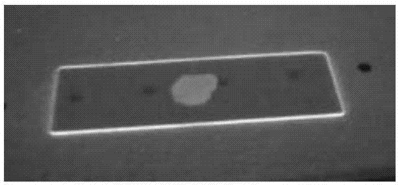 识别和荧光定量农药的纳米印迹微球及其制备方法与流程