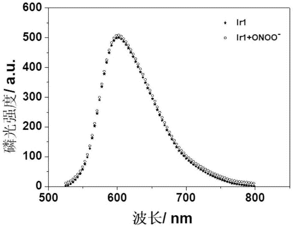 一种可用比率法检测过氧亚硝酸根的磷光聚合物探针及其制备与应用的制作方法