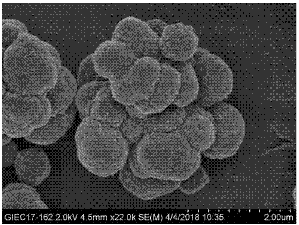 一种树莓状多孔微纳米聚合物粒子及其制备方法与应用与流程
