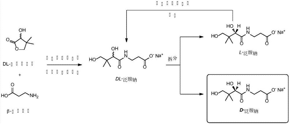 一种D-泛酸钠合成和手性拆分方法与流程