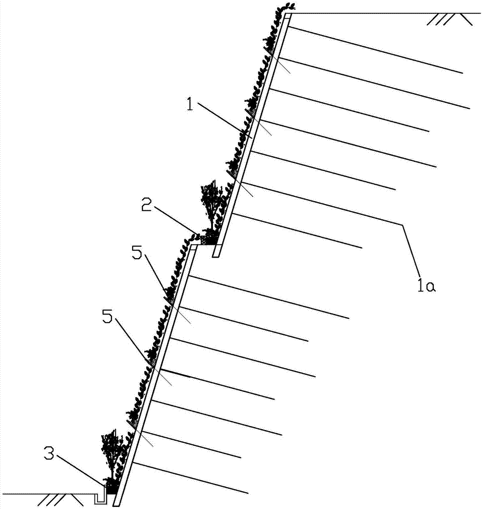 坡面斜插板式绿色防护体系及施工方法与流程