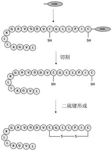 一种蛙来源的创伤修复肽及其合成方法与流程