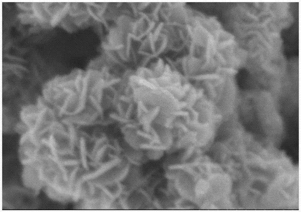 一种纳米片自组装三维纳米花硫化锡/石墨化氮化碳锂离子电池负极材料的制备方法与流程