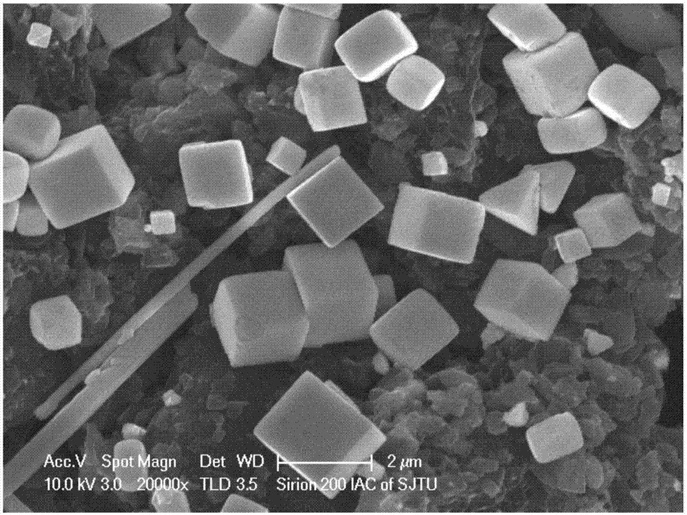 生物质成型活性炭负载三维纳米多孔贵金属复合材料及其制备方法和应用与流程