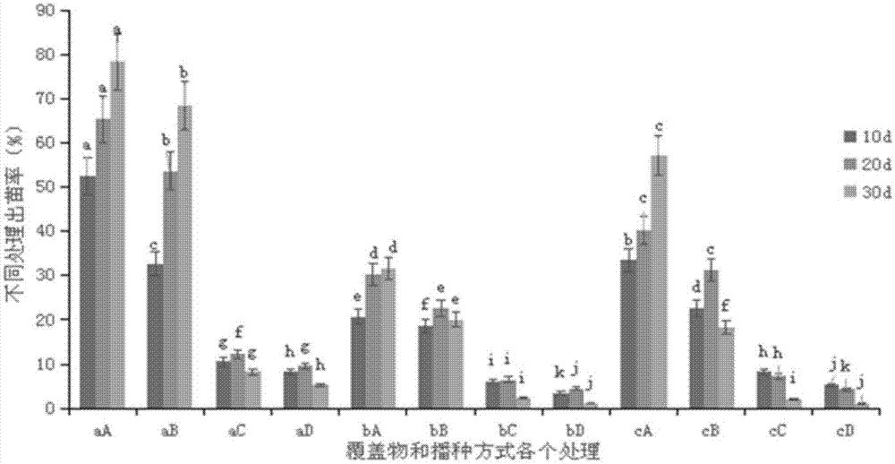 一种苎麻种子大田直播的方法与流程