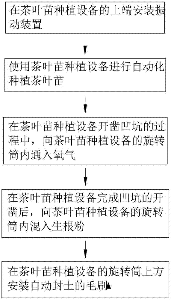 一种提高茶叶苗存活率的方法与流程