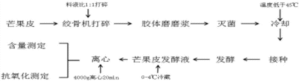 一种富含芒果皮膳食纤维的乳基零食及其制备方法与流程