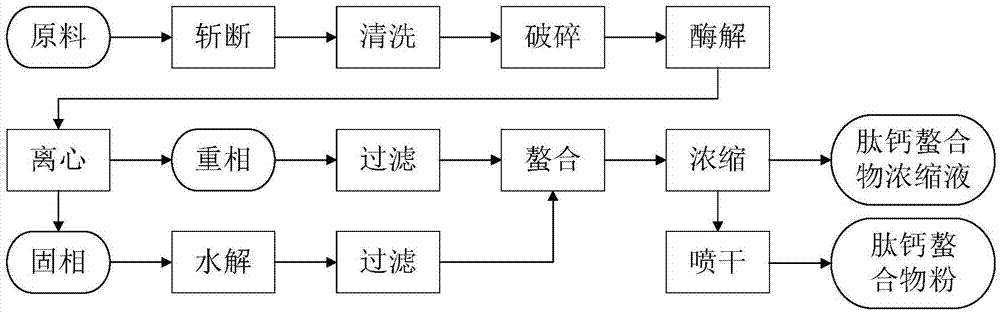 一种肽钙螯合物的制备方法和应用与流程