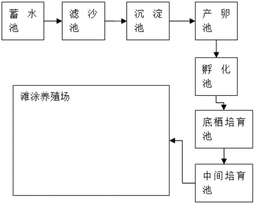 一种适合儋州地区养殖沙虫的方法与流程