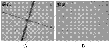 响应紫外光刺激的自修复聚氨酯弹性体及制备方法与流程