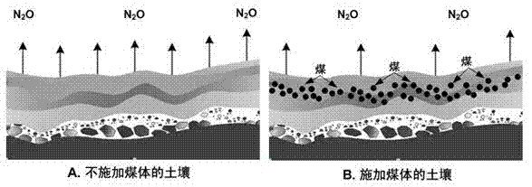 利用煤体削减土壤一氧化二氮释放量及提高氮肥利用率的方法与流程