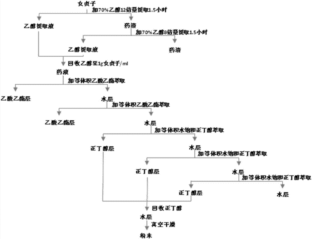 女贞子糖苷富集物及其用途的制作方法