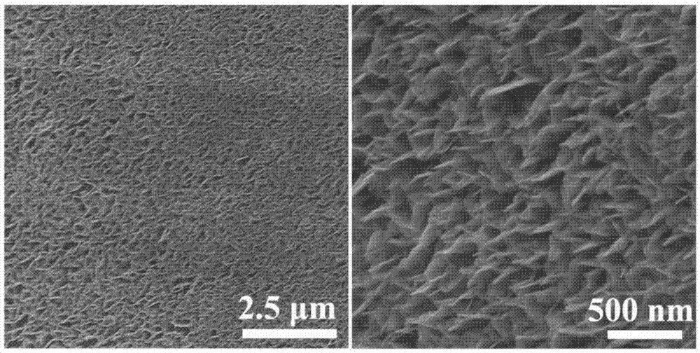 金属氧化物纳米阵列薄膜及其制备方法与包含其的电极、电池与流程