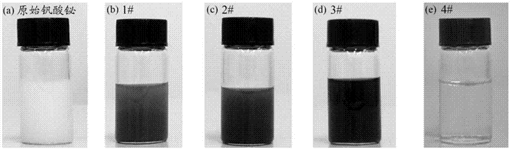 一种单分散黑色钒酸铋胶体颗粒的制备方法与流程