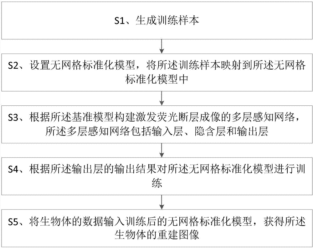 基于多层感知网络的激发荧光断层成像方法与流程