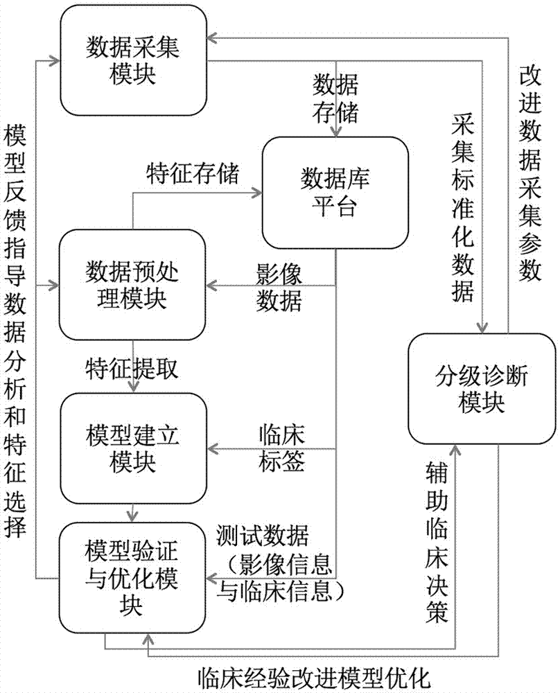 人工智能医学影像的肿瘤恶性风险分层辅助诊断系统的制作方法