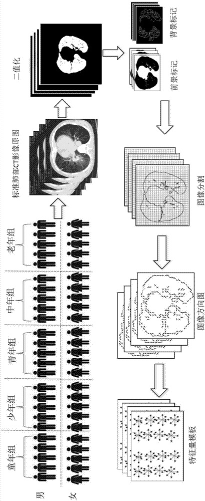 一种CT影像肺部异常组织的自动识别方法与流程