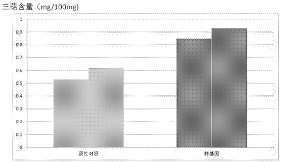 3-羟基-3-甲基戊二酰辅酶A还原酶及其编码基因和应用的制作方法