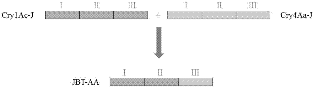 一种人工合成的Bt抗虫基因JBT-AA及其应用的制作方法