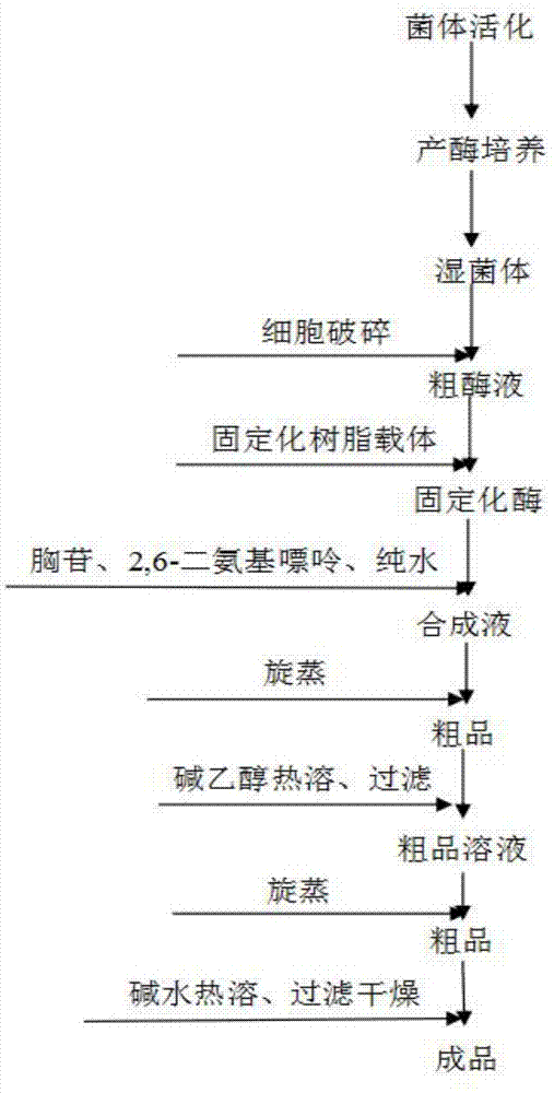 利用密西根克雷伯氏菌合成2’-脱氧-2-氨基腺苷的方法与流程