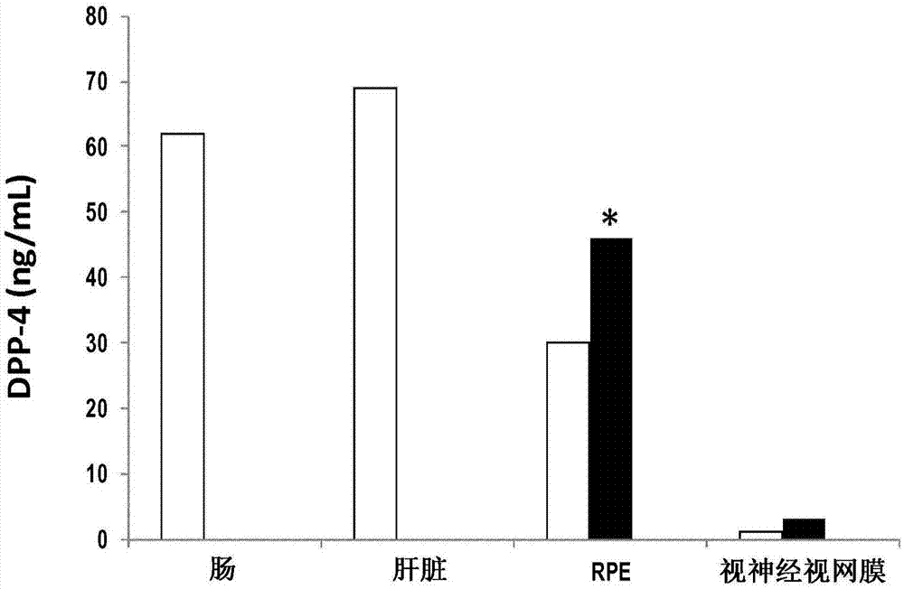 用于对视网膜神经退行性疾病的局部眼治疗的二肽基肽酶-4抑制剂的制作方法