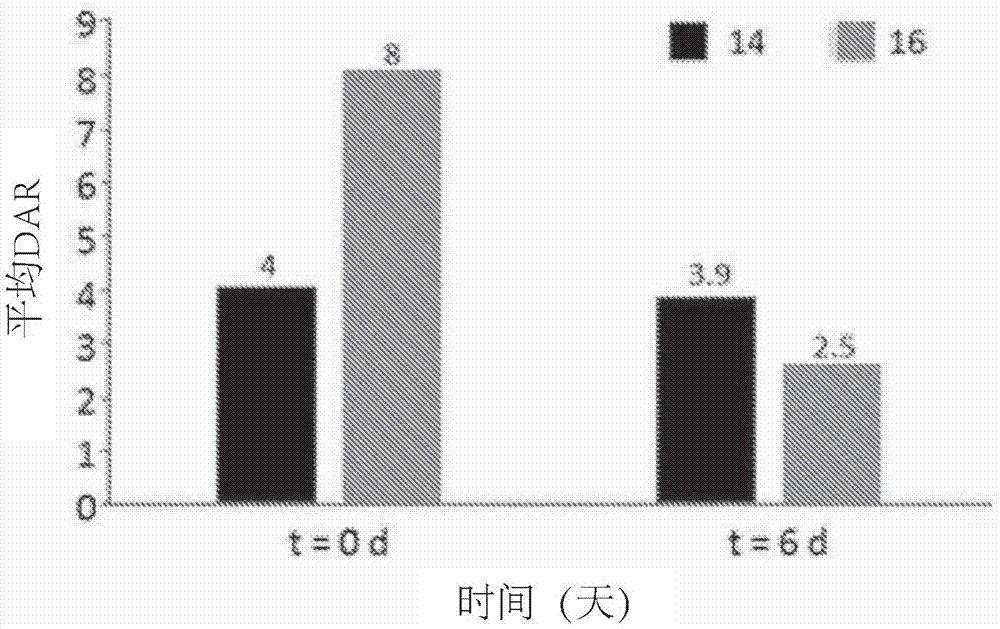 含有在环内包含至少两个(-CH2-CH2-O-)单元的接头的缀合物和缀合试剂的制作方法